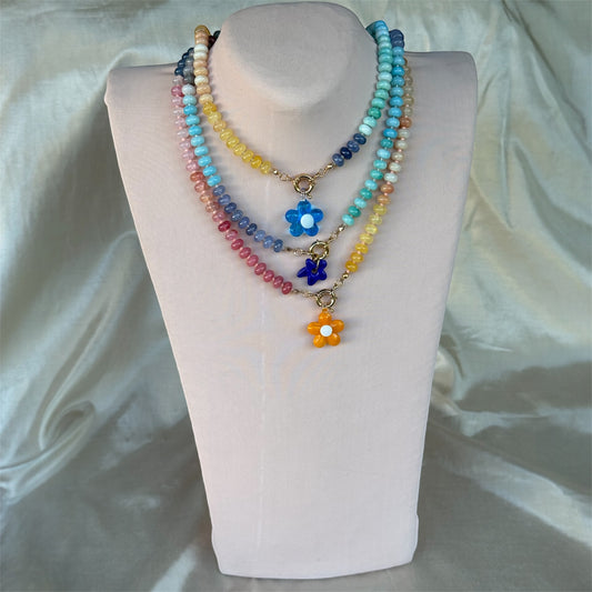 Colección Flores del Arcoíris